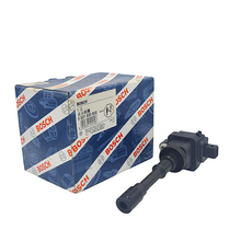 BOSCH Ignition Coil 0221500802