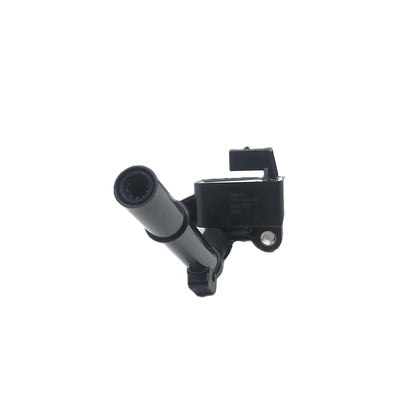 DELPHI Ignition Coil GN11032-18B1