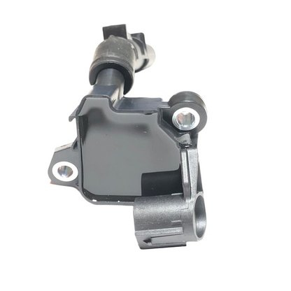 DELPHI Ignition Coil GN10691-18B1