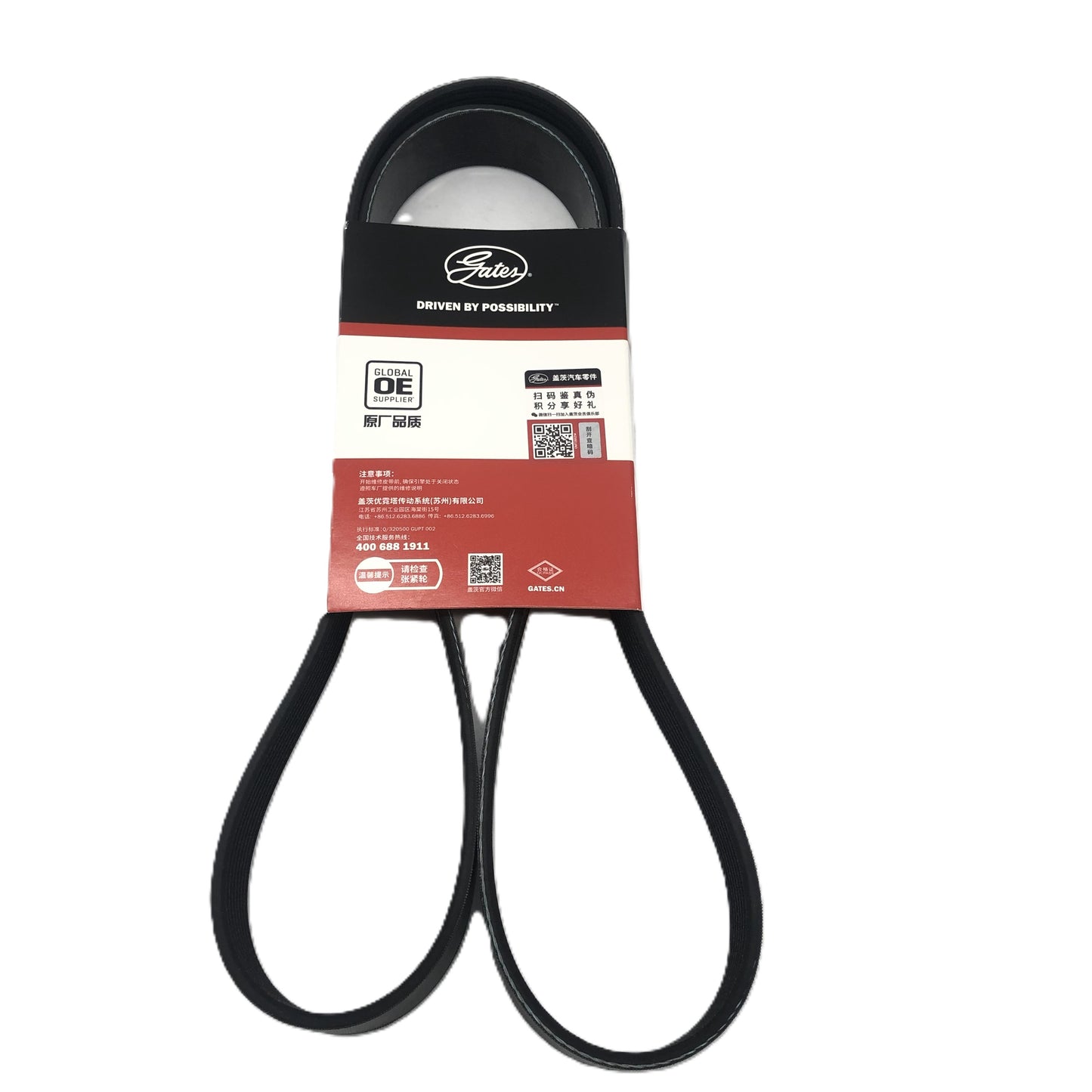 GATES Micro-V Serpentine Belt 8PK1480