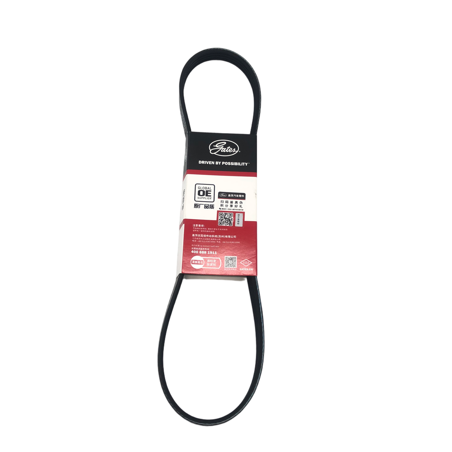 GATES Micro-V Serpentine Belt 4PK803