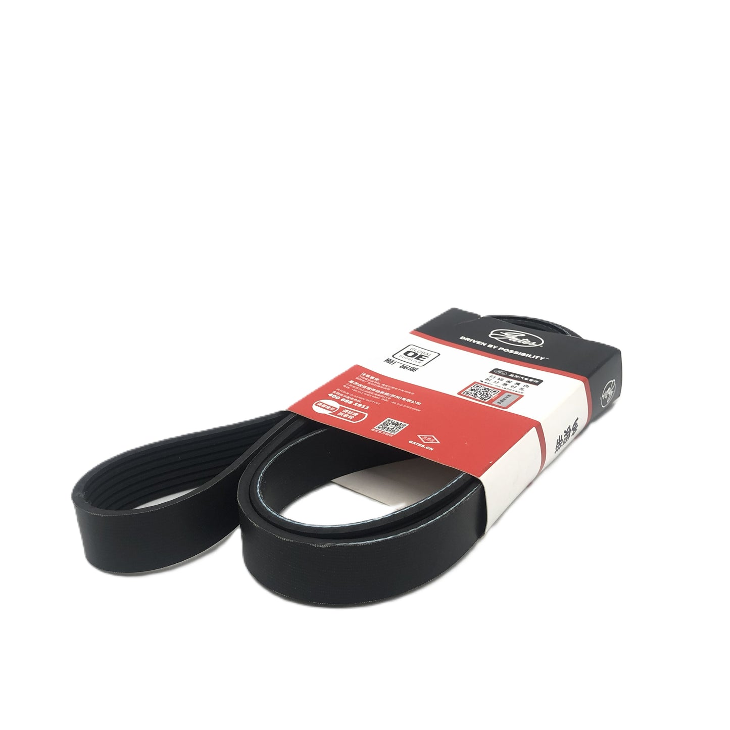 GATES Micro-V Serpentine Belt 7PK1645