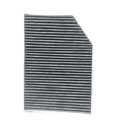 BOSCH Activated Carbon Cabin Filter 0986AF4894