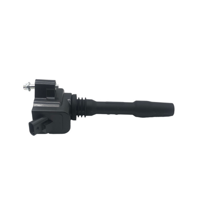 DELPHI Ignition Coil GN10882-18B1