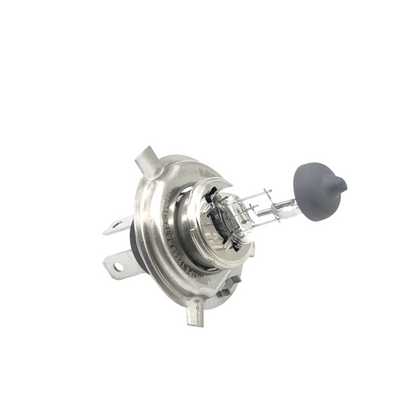 PHILIPS Front Fog Light H4 12V 100/90W P43t-38 12569LSSBC1