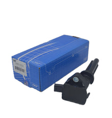 SKF Ignition Coil VKRB150023