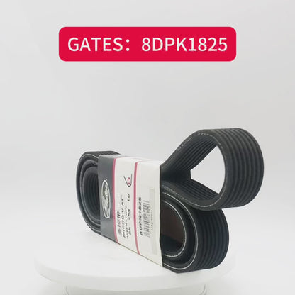 GATES Micro-V Serpentine Belt 8DPK1825
